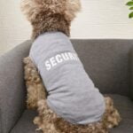 Letter Graphic Pet Tank Grey