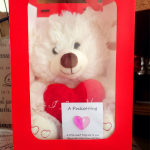 Valentine Teddy with pocket hug-White - Image 2