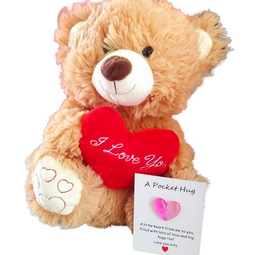 brown bear Valentine Teddy with pocket hug-Brown
