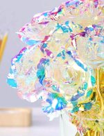 Holographic Rose-Transparent